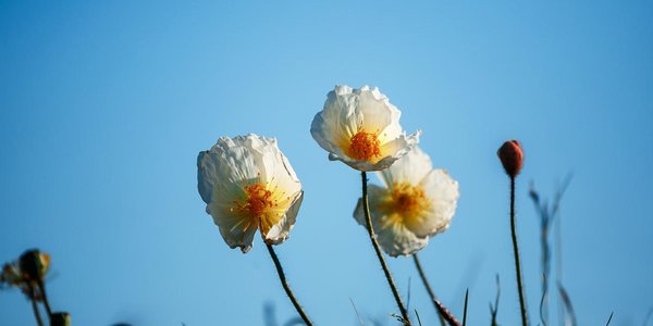 Лето начнётся по-летнему: синоптики рассказали о погоде в первый день июня