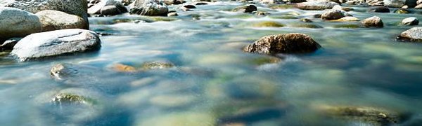 На реках Приморья продолжается спад воды