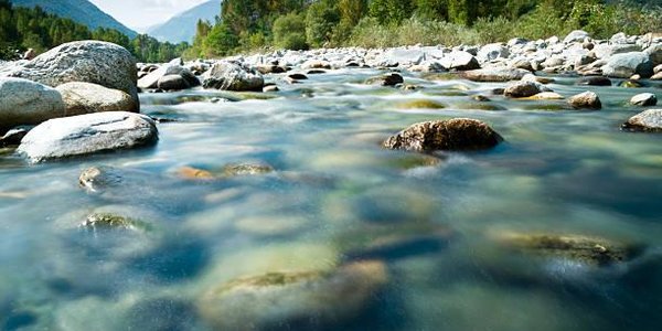 На реках Приморья продолжается спад воды
