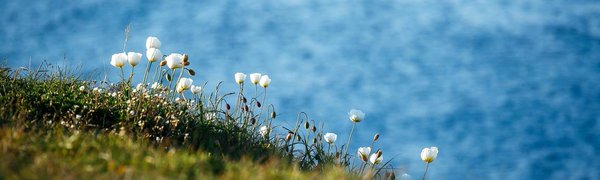 В пятницу в Приморье потеплеет до +29 °C, на побережье прохладнее