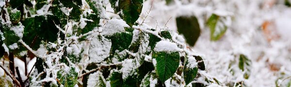 Синоптики уточнили прогноз погоды на выходные дни в Приморье и Владивостоке