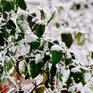Синоптики озвучили районы Приморья, где идет снег