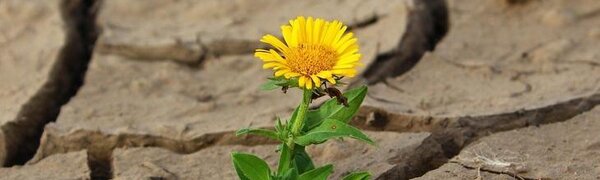 Все аномалии погоды июля требуют тщательного изучения