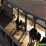 Ночные морозы в Приморье сменяет дневное тепло