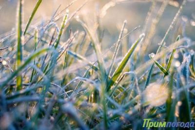 Небольшой мороз -1...-2°С отмечается в горных районах Приморья вторую ночь подряд Небольшой мороз -1...-2°С отмечается в горных районах Приморья вторую ночь подряд