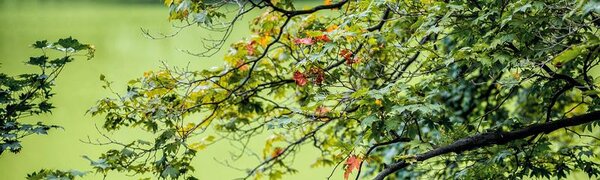 На этой неделе погода в Приморском крае будет меняться ежедневно