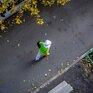 В среду антициклон охладит воздух в Приморье ночью и хорошо прогреет днем