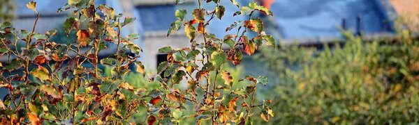 О погоде в Приморье на предпоследних выходных сентября рассказали синоптики