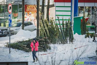 Сибирский антициклон удерживает холода в Приморье
