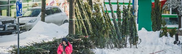 Сибирский антициклон удерживает холода в Приморье