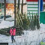 Сибирский антициклон удерживает холода в Приморье