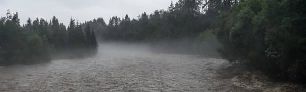 Максимальный подъём воды в приморских реках ожидается 27–28 августа