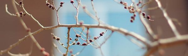 Во Владивостоке с сегодняшнего дня начнёт устанавливаться весенняя погода