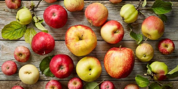 Названы лучшие продукты для печени