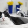 Жители центральных улиц Владивостока останутся без горячей воды