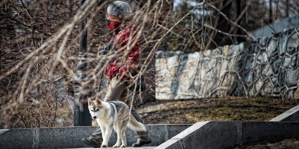 В Приморье похолодает на 4–7 градусов