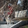 В Приморье похолодает на 4–7 градусов