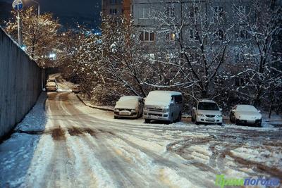 Во Владивостоке ночью возможен мокрый снег, на дорогах гололедица