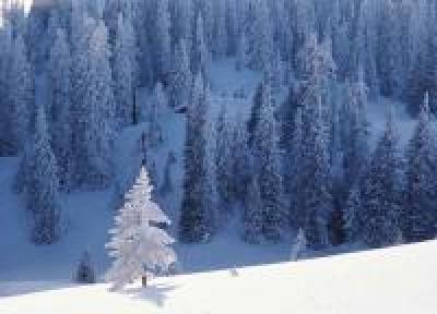 Холода в Приморье начинают ослабевать