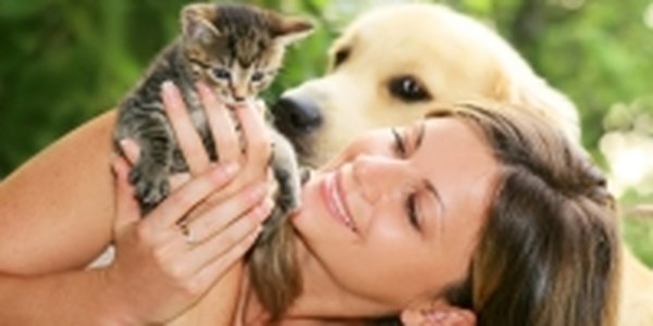  Питомцы одиноких хозяев впадают в депрессию