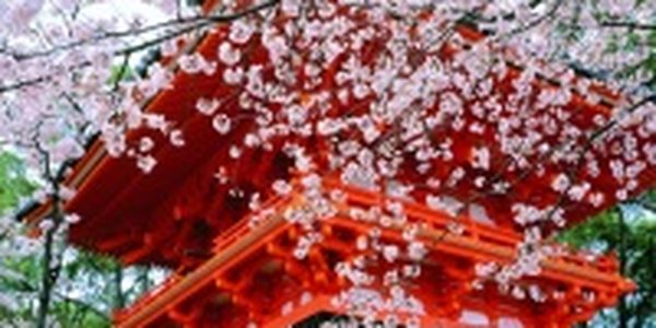 Япония: Желающие посетить разрушенные цунами префектуры смогут получить визу бесплатно
