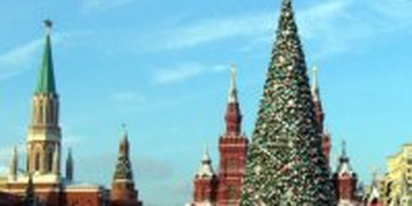 Для Главной елки страны срубили 110летнее дерево