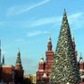 Для Главной елки страны срубили 110летнее дерево