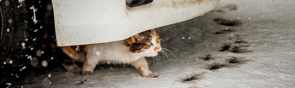 В пятницу в Приморье потеплеет и пройдёт небольшой снег