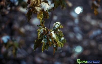 В выходные дни циклон принесёт осадки в Приморье