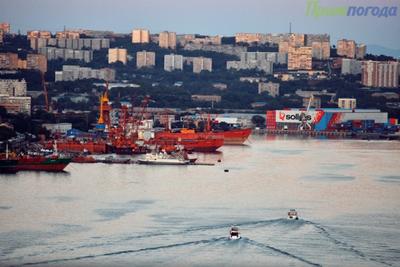 Чем дышал Владивосток с 11 по 19 июля?