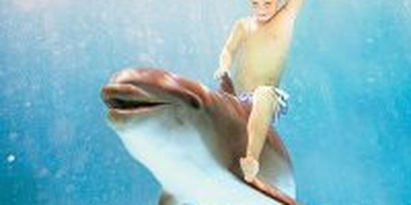 Всемирно известные водопады Игуасу в Бразилии пересохли из-за засухи