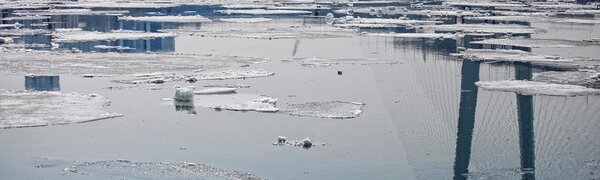 Прохладная погода сохранится в Приморье в пятницу