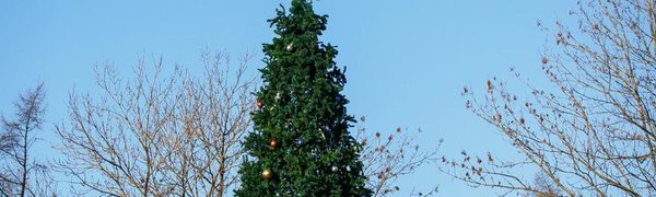 Новогодние каникулы в Приморье оказались на 2–6 градусов теплее нормы
