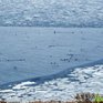 Тёплая погода мешает становлению льда на побережьях Приморья
