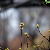 В выходные дни в Приморье выпала месячная норма осадков