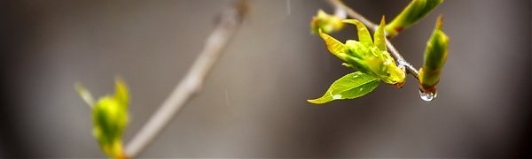 В выходные дни в Приморье выпала месячная норма осадков