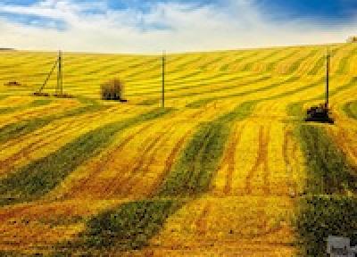 Лучшее в России 2012: год из жизни России в самых ярких и неординарных фотографиях