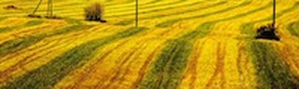 Лучшее в России 2012: год из жизни России в самых ярких и неординарных фотографиях