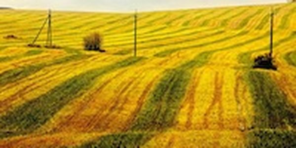 Лучшее в России 2012: год из жизни России в самых ярких и неординарных фотографиях