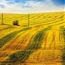 Лучшее в России 2012: год из жизни России в самых ярких и неординарных фотографиях