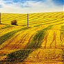 Лучшее в России 2012: год из жизни России в самых ярких и неординарных фотографиях
