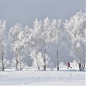 Лучшее в России 2012: год из жизни России в самых ярких и неординарных фотографиях