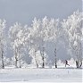 Лучшее в России 2012: год из жизни России в самых ярких и неординарных фотографиях