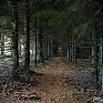 Лучшее в России 2012: год из жизни России в самых ярких и неординарных фотографиях