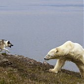 Лучшее в России 2012: год из жизни России в самых ярких и неординарных фотографиях