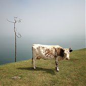 Лучшее в России 2012: год из жизни России в самых ярких и неординарных фотографиях