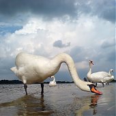 Лучшее в России 2012: год из жизни России в самых ярких и неординарных фотографиях