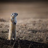 Лучшее в России 2012: год из жизни России в самых ярких и неординарных фотографиях