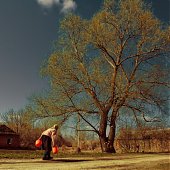 Лучшее в России 2012: год из жизни России в самых ярких и неординарных фотографиях