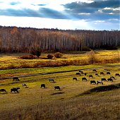 Лучшее в России 2012: год из жизни России в самых ярких и неординарных фотографиях